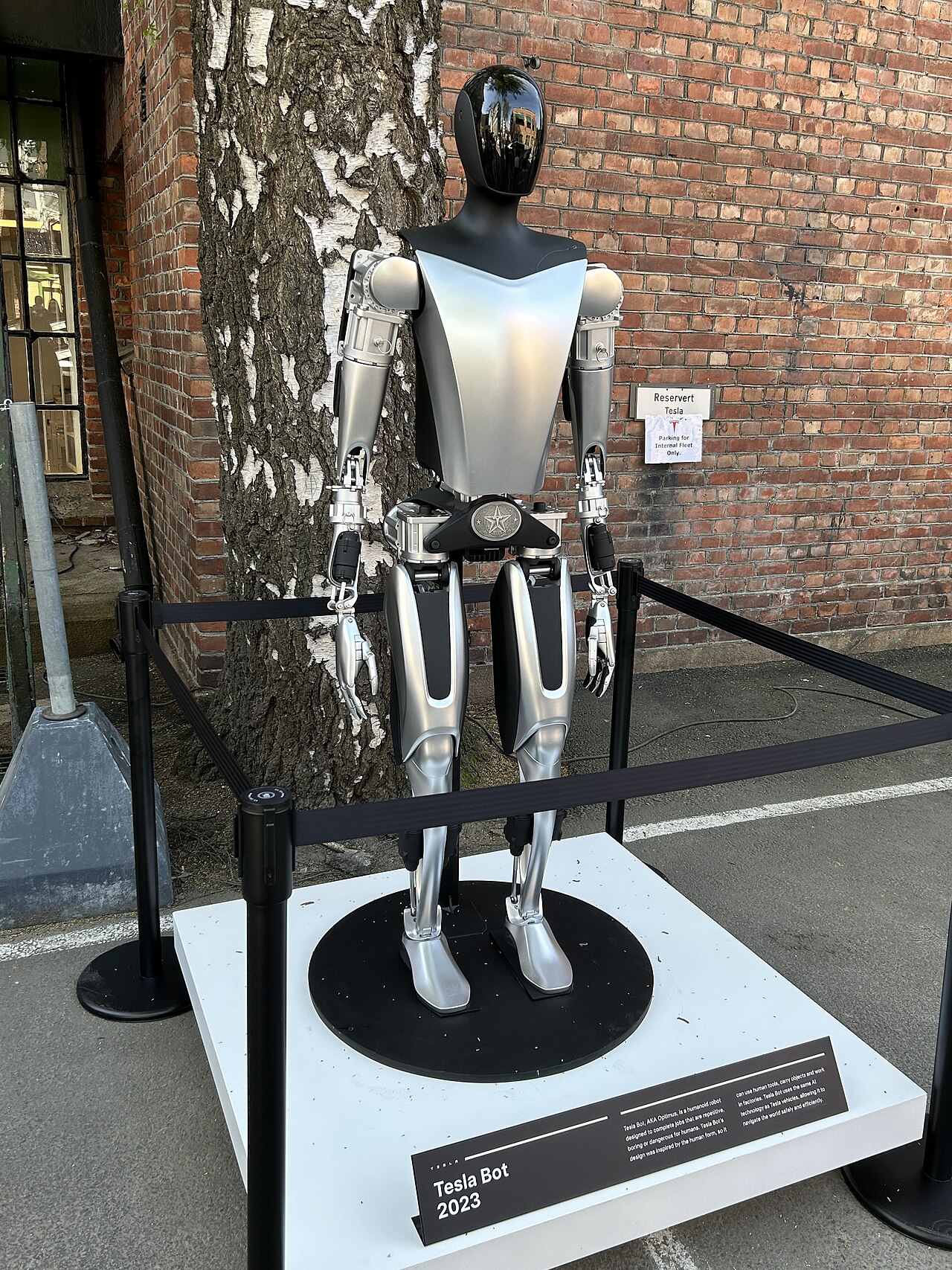 Tesla Optimus: Tesla Bot 2023 on display in Oslo
