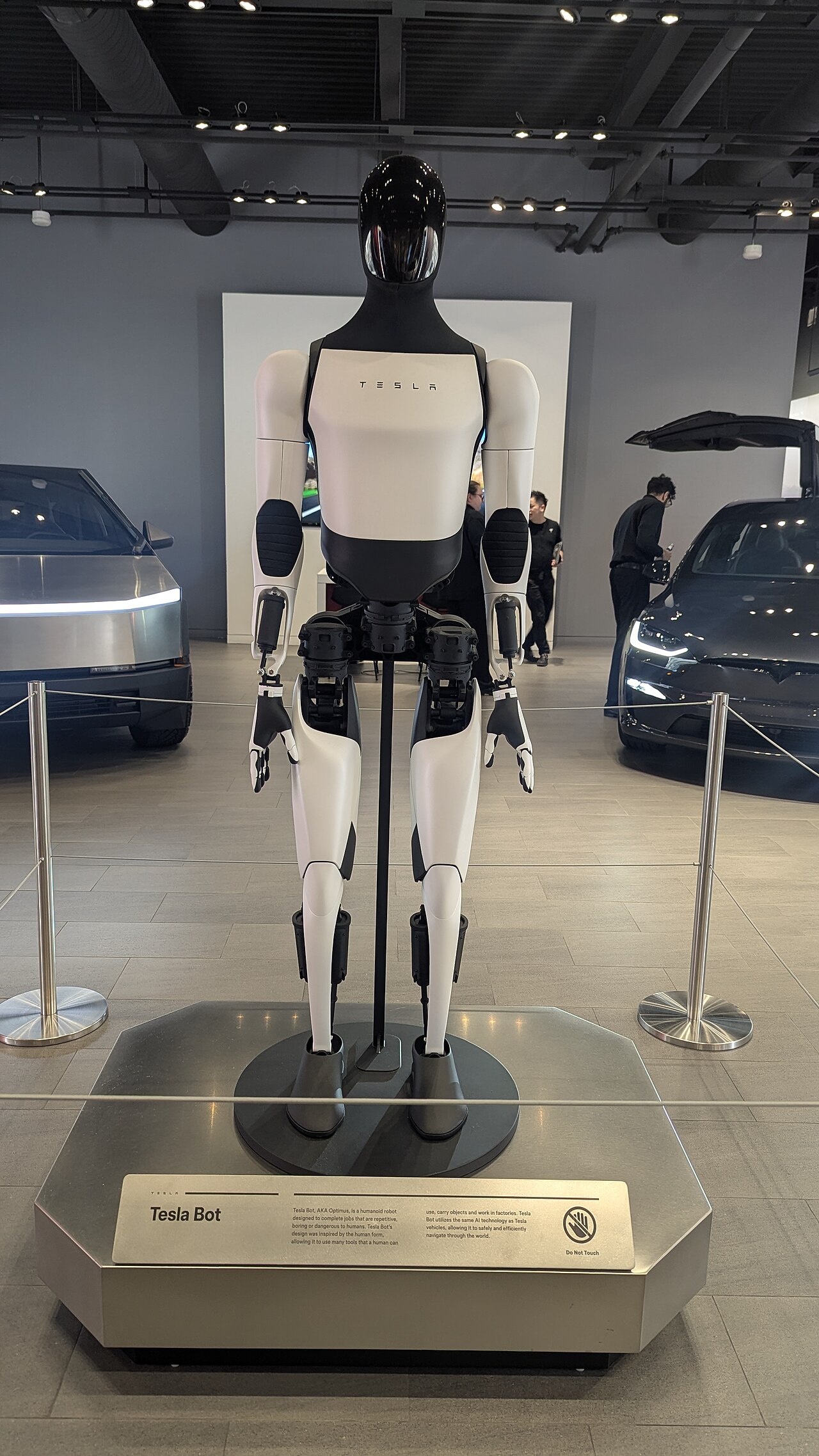 Tesla Optimus: Optimus on display at a Tesla showroom in Ontario, November 2025