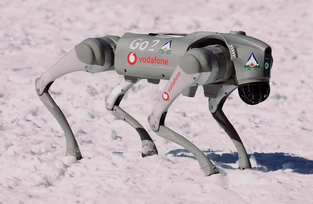 Unitree Go2: Side view on snow