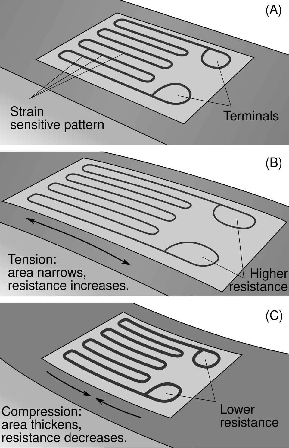 Drawing of a foil strain gauge with a zigzag metal track, shown stretched and compressed, with its resistance going up or down.